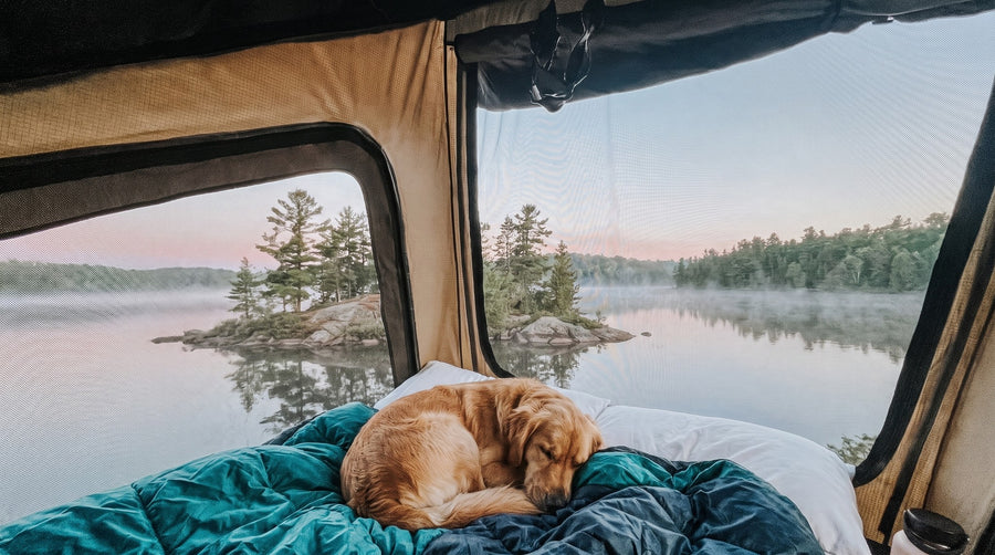 Lake view through the bug-mesh windows of the truck camper roof tent