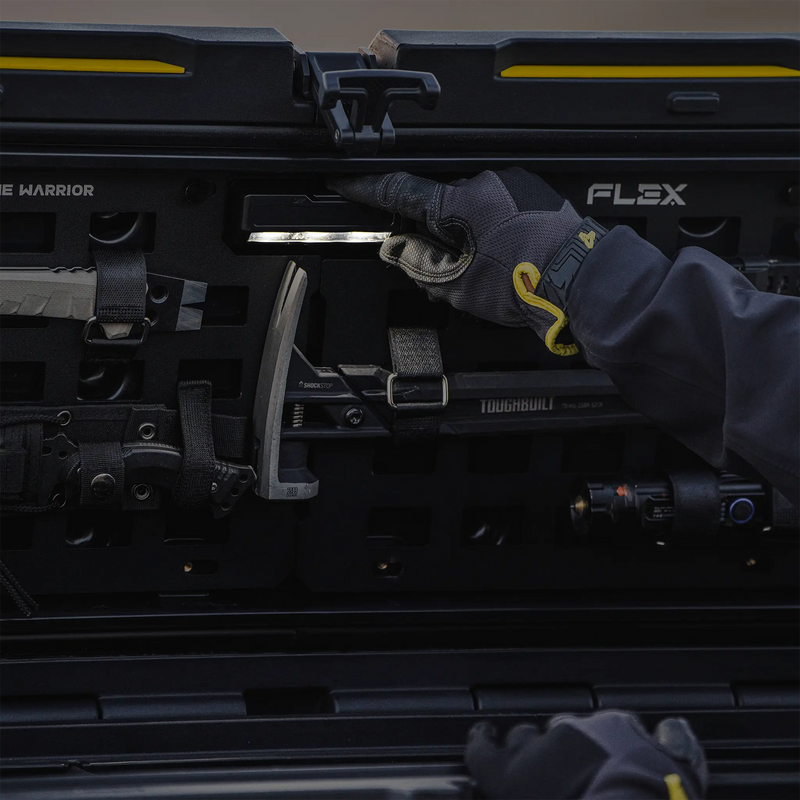 Gravity-activated LED light inside a FLEX cargo case lid